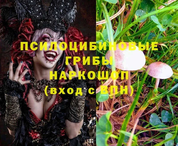 ALPHA PVP Белокуриха